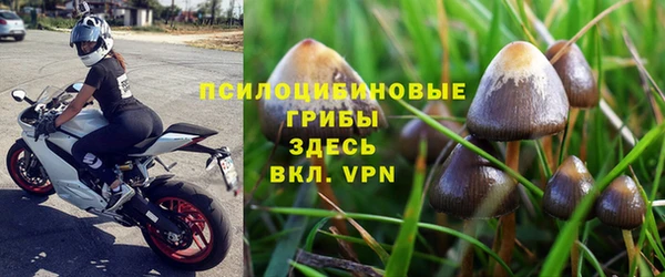 гидропоника Балабаново