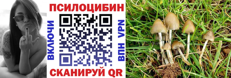 Купить  Володарск  Галлюциногенные грибы Magic Shrooms 